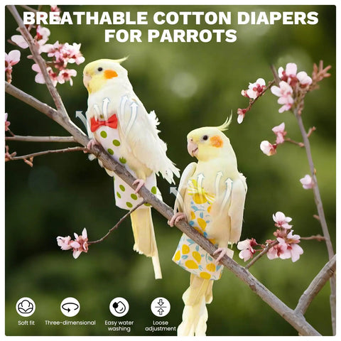 Cockatiels wearing Reusable Bird Diaper Flight Suit With Adjustable Straps For Cockatiels Parrots And Macaws Leakproof Lining.