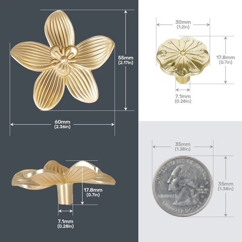 8 Pack 2.4 Inch Brushed Gold Flower Cabinet Knobs With Three Screw Sizes, side and top views, compared with coin for scale