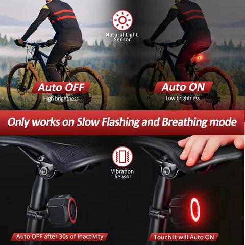 Rad Bike Alarm Tail Light For Happy E-Bike Offroad MTB With Super Loud 110 Decibel Siren And Snazzy Vibration Sensor To Keep Your Ride Safe From Crooks on black seatpost, auto on/off mode
