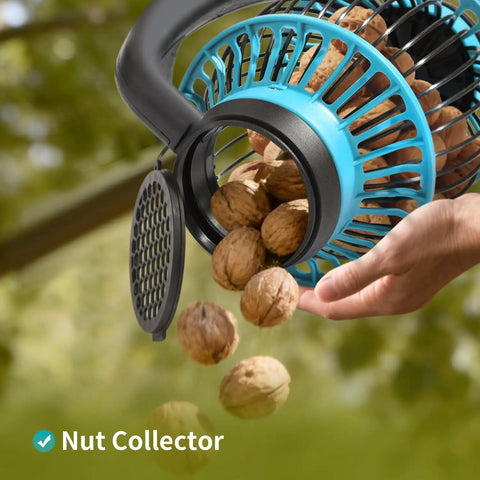 Basket-style nut collector collecting walnuts from the ground outdoors.