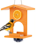 Oriole Feeder For Outdoors Hanging All In One Recycled Plastic Bird Feeder With Removable Glass Cup For Jelly Jam Fruit Nectar Or Seed Orioles Orange 1 Pack