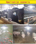 Solar Pendant Lights With Dual LED Bulbs, IP65 Waterproof Outdoor Dusk To Dawn Auto Lamp illuminating various animal pens