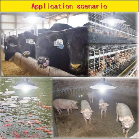 Solar Pendant Lights With Dual LED Bulbs, IP65 Waterproof Outdoor Dusk To Dawn Auto Lamp illuminating various animal pens