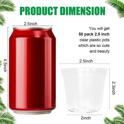 Clear 2.5 Inch Nursery Pots Set Of 50 With Drainage Holes Durable Plastic Seed Starter Pots next to a 4.5 inch red can for size comparison