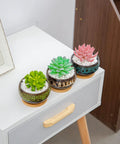 Five Pack Cute Ceramic Succulent Planters With Drainage And Attached Saucers, Round 4x2 Inches, Perfect Desk Or Windowsill Garden Decor, Great Gift For Plant Lovers, Plants Not Included; three planters on desk