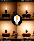 Smooth Dimmable E26 LED Bulb 4W Equivalent 40W Warm White 2700K 400 LM G16 Edison Style AC120V brightness settings image