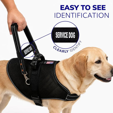 Heavy Duty Leather Bridge Handle For Service Dogs Featuring Solid Steel Core Reflective Trim Ergonomic Dual Ring Harness Compatible 16 Inch Badass Pup Parent Guide Tool
