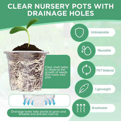 Clear nursery pot with plant for 10 Pack Seed Starter Tray Kit With 60 Cell Seedling Trays, drainage holes shown on image.