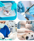 18 Piece Dissection Kit With Carrying Case Pro Grade Stainless Steel Tools For Students, Teachers And Pros in use for anatomy and veterinary practice