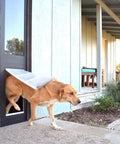 A dog using the Heavy Duty Dual Pane Sliding Glass Door Pet Panel With Thick Insulated Flap For Brutal Weather to exit the house.
