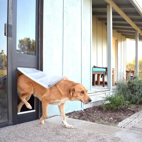 A dog using the Heavy Duty Dual Pane Sliding Glass Door Pet Panel With Thick Insulated Flap For Brutal Weather to exit the house.