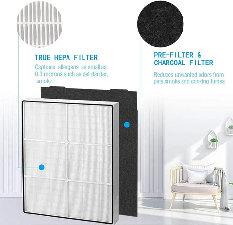 Plug And Play Replacement Filter Pack For AP450 And AP510 Air Purifiers With True HEPA Filter And Four Carbon Filters, Compatible With Whirlpool Whispure 8171434K 1183054K 1183054 AP300 AP350 AP450 AP510, 1 Year Supply showing HEPA and charcoal filter comparison.