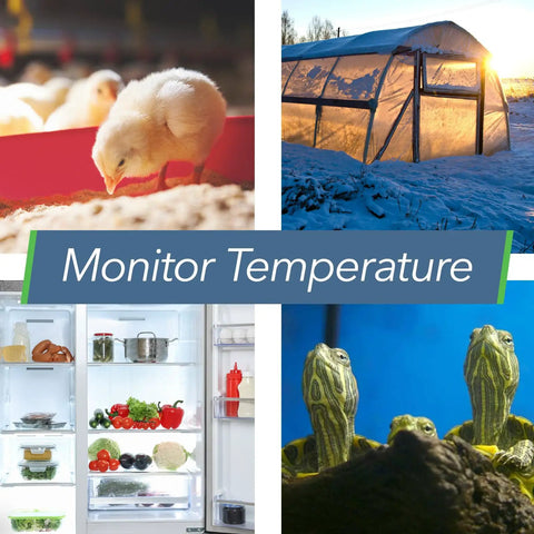 No Fuss Smart Temperature And Humidity Monitor With App Alerts Water Resistant Sensor For RV Fridge Freezer Or Home Use Plug And Play Setup Real Time Readouts Heat Index And Humidity Trends, chick and greenhouse collage