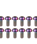 Colorful Titanium M5x10 Bike Bolts Set For MTB Disc Brakes 12 Pack Grade 5 6Al 4V Lightweight Rotor Screws Torx T25 10mm Thread