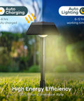 Auto-charging Solar Pathway Lights 4 Pack With 200 Lumen Brightness IP65 Waterproof Outdoor Garden Lights in grass