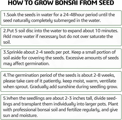 Instructions on how to grow bonsai from seed, detailing steps for soaking seeds, preparing soil, planting, germinating, and transplanting.