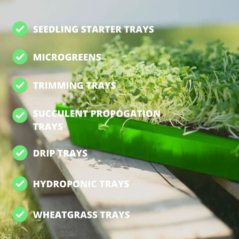 Beast Mode Durable Seed Starting Trays For Seedlings And Microgreens, Reusable Plastic Plant Trays displayed with microgreens