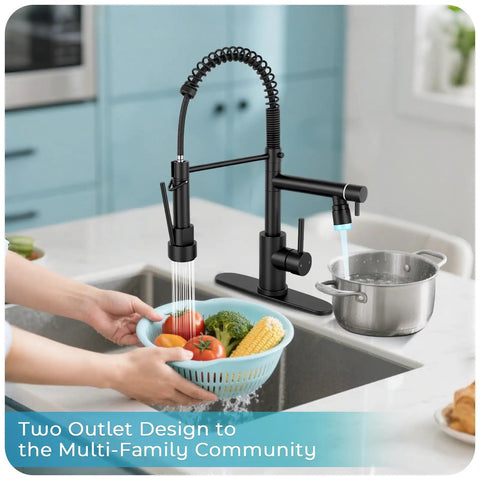 RNDIOZD LED Kitchen Faucet with Pull Down Sprayer, 2-Spout, Matte Black in modern kitchen with fresh vegetables.