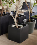 Large Black Leave In Soil Moisture Meter For Potted Plants Refillable Plant Water Sensor Continuous In Soil Monitoring 2 Pack Bundle For 6 To 12 Inch Pots Easy Read Indicators No Guesswork in indoor planters