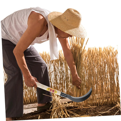 Farmer using Manganese Steel Garden Sickle With Wooden Handle Ergonomic Design For Easy Weeding Trimming And Harvesting Built Tough Ultra Durable Multi Purpose Tool For Farm Yard And Garden Chores in wheat field