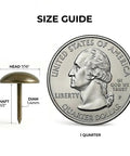 Legit Heavy Duty Antique Brass Upholstery Tacks 500 Piece Bulk Kit 7 16 Inch size guide with quarter for comparison.