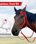 Horse wearing Adjustable Horse Bridle Set With Stainless Steel Bit And Reins, durable nylon webbing, small size for training and riding