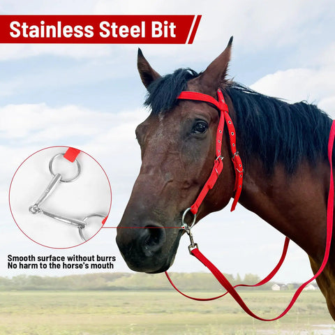 Horse wearing Adjustable Horse Bridle Set With Stainless Steel Bit And Reins, durable nylon webbing, small size for training and riding