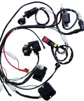 Complete ATV Wiring Harness Kit With Beefed Up CDI Ignition Coil Solenoid Relay Spark Plug Set for Chinese 4 Stroke Quad Dirt Bike Go Kart