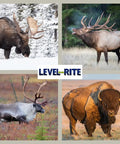 Heavy Duty Taxidermy Wall Hangers Two Pack For Big Game Trophy Displays Featuring Precision Leveling Brackets Hella Strong Steel Design No Sweat Setup For Straight Up Perfect Angles with moose, elk, caribou, and bison