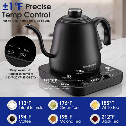 Precision Temperature Control Electric Kettle With 316L Stainless Steel, 1F Precision, Rapid 1000W Heating, Keep Warm Mode, 0.8L Capacity