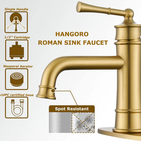 Single Hole Bathroom Faucet In Brushed Brass Gold With Pop Up Drain, 24-Inch Braided Supply Hose close-up, showing spot-resistant finish