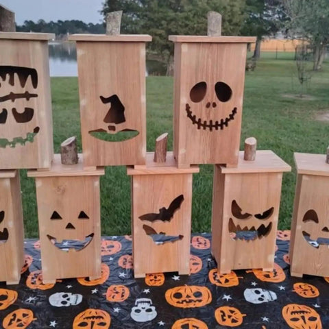Kickass Acrylic Router Template For Jack O Lantern Faces With 8 Durable Halloween Pumpkin Patterns 5.5X8 Inch solid wood jigs showing various designs.