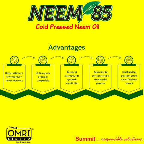 Cold Pressed Neem Oil 85 advantages infographic with text on efficacy, organic certification, and eco-friendly benefits.