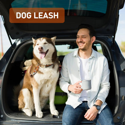 Dog and owner sitting in car trunk with luggage visible, happy face, dog leash visible.