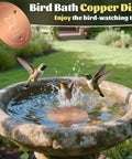 2 Pack Copper Bird Bath Disks With Triple Point Support in a stone bird bath with birds, 1mm Thick Pure Copper Water Cleaner in action.