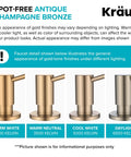 Spot Free Antique Champagne Bronze Kitchen Soap And Lotion Dispenser finish comparison under different lighting conditions