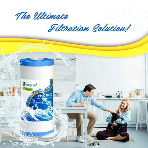 Whole House 10 Inch By 4.5 Inch Sediment Filter 5 Micron in kitchen scene with couple and dog
