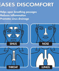 Diagram showing sinus, nose, throat, and lungs relief with All In One Steam Inhaler And Facial Steamer For Respiratory Relief.