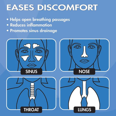 Diagram showing sinus, nose, throat, and lungs relief with All In One Steam Inhaler And Facial Steamer For Respiratory Relief.