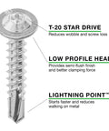 Close-up of Size 10 X 1 Inch Metal To Metal Low Profile Self Drilling Screw with T20 star drive, lightning point tip, and low profile head.