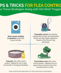 Tips and tricks for flea control, using strategies alongside Savage Insect Killer Fogger with Odor Neutralizer.