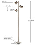 Ethan Dimmable Floor Lamp For Bedroom Reading And Living Room Decor with Nickel Finish, showing dimensions and LED heads