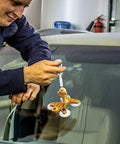 Person using Quick DIY Windshield Crack Repair Kit for chips and cracks professional glass fixing on car windshield