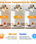 Three color temperature choices with Vintage LED Edison Bulbs 6W Equivalent 60W Non Dimmable 4000K Cool White ST58 Antique Filament Bulbs