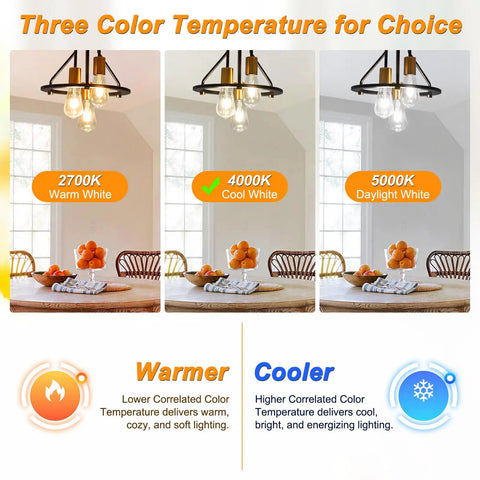 Three color temperature choices with Vintage LED Edison Bulbs 6W Equivalent 60W Non Dimmable 4000K Cool White ST58 Antique Filament Bulbs