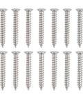 Stainless steel screws for double swing door hinge installation