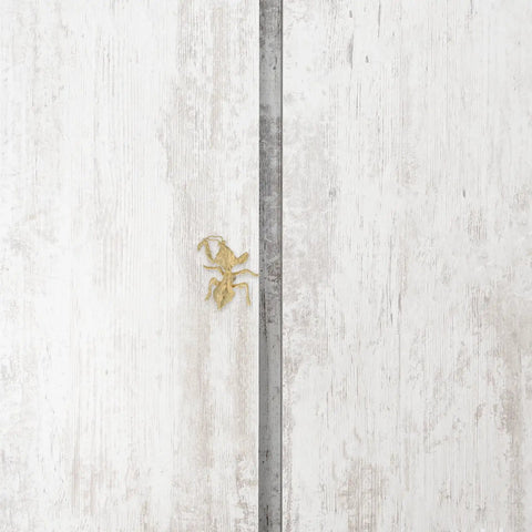 Antique Mantis Cabinet Pull Handles Insect Drawer Knobs For Dresser Closet Cupboards Doors Kitchen Furniture Hardware Golden Brass Finish Vintage Style With Retro Vibe Statement Piece For Rustic Modern Homes on white wood door