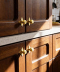 Solid Brass Gold Cabinet Knobs 4 Pack With Star Backplates on kitchen cupboards