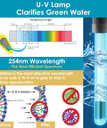 UV lamp from all in one pond fountain kit with 550GPH pump three spray patterns color LED and UV light easy setup outdoor pond filter