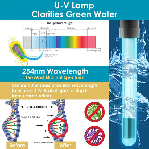 UV lamp from all in one pond fountain kit with 550GPH pump three spray patterns color LED and UV light easy setup outdoor pond filter